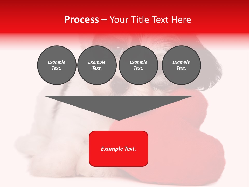 Pet White Dog PowerPoint Template