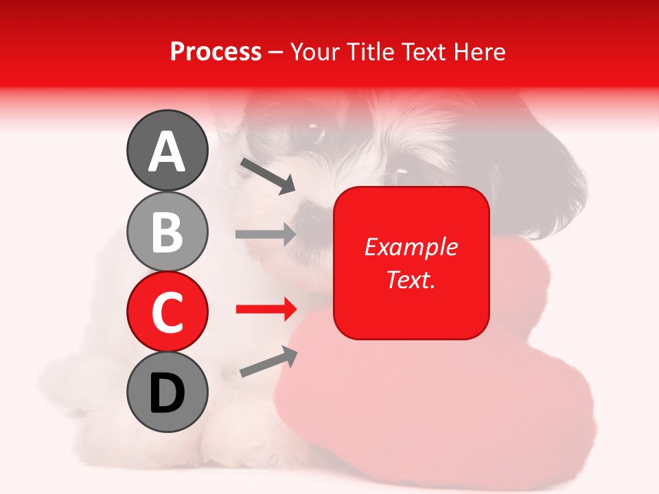 Pet White Dog PowerPoint Template