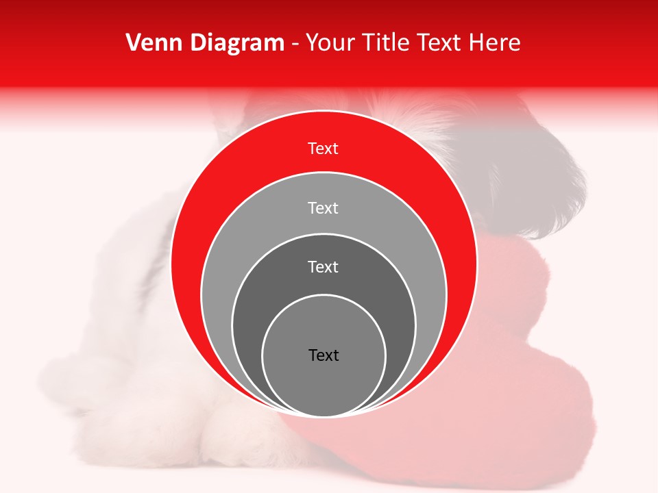 Pet White Dog PowerPoint Template