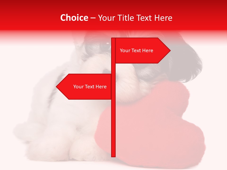 Pet White Dog PowerPoint Template