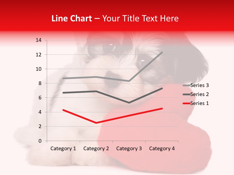 Pet White Dog PowerPoint Template