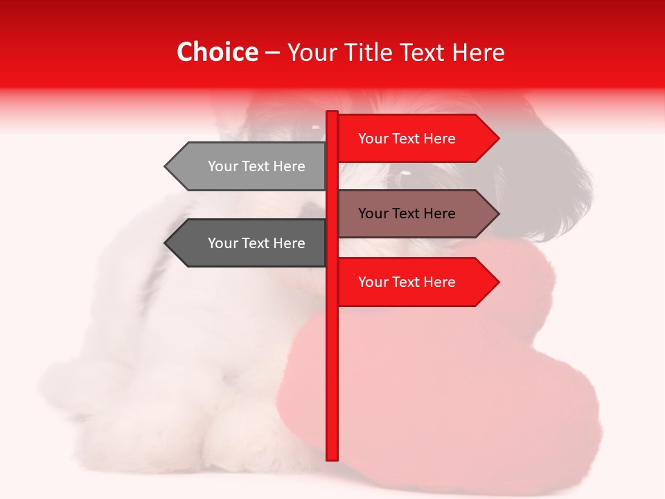 Pet White Dog PowerPoint Template