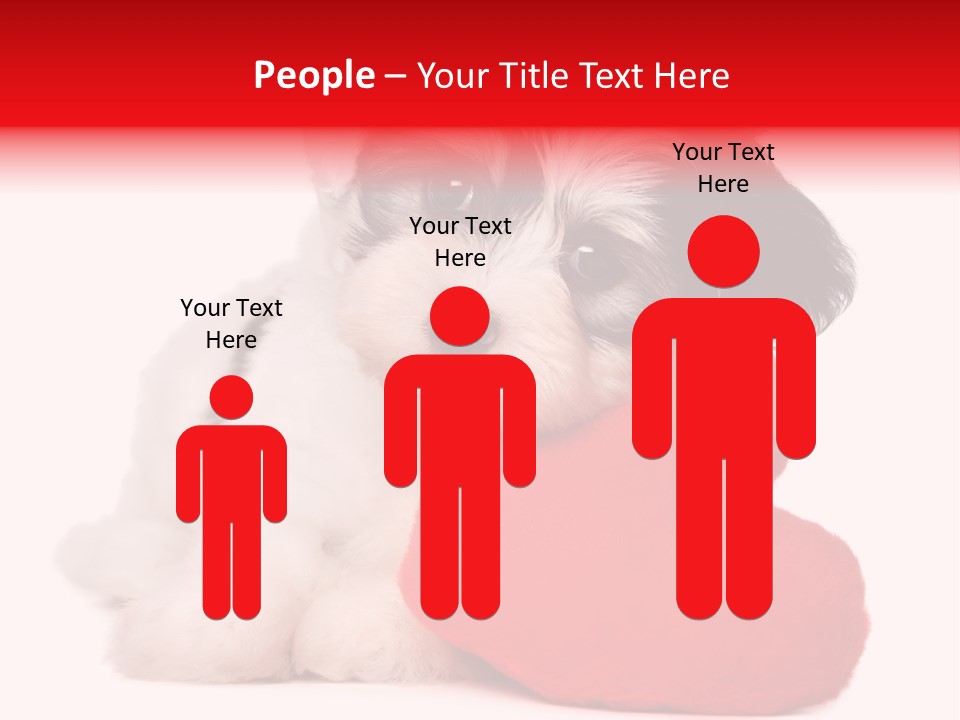 Pet White Dog PowerPoint Template