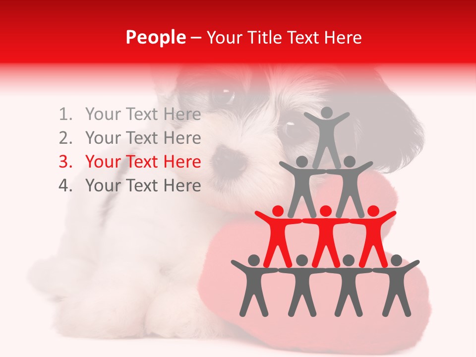 Pet White Dog PowerPoint Template
