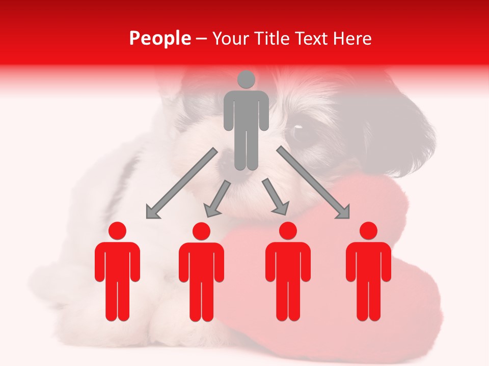 Pet White Dog PowerPoint Template