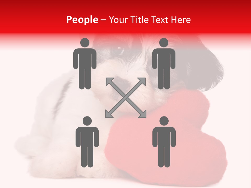 Pet White Dog PowerPoint Template