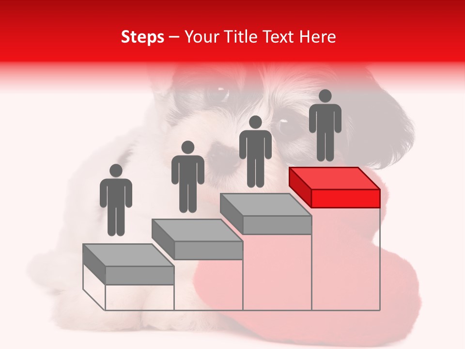 Pet White Dog PowerPoint Template