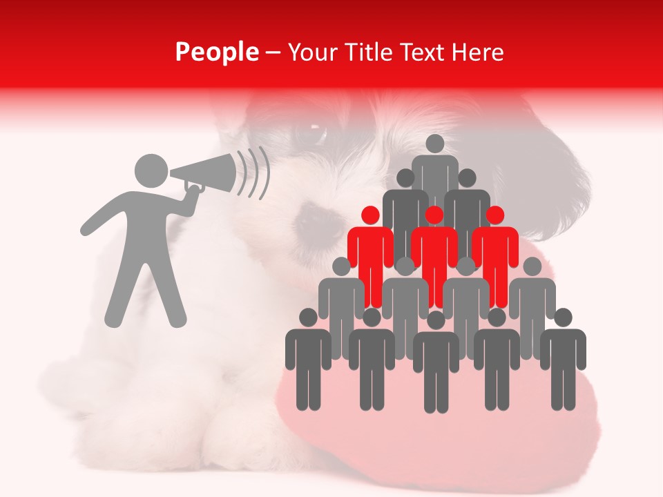 Pet White Dog PowerPoint Template