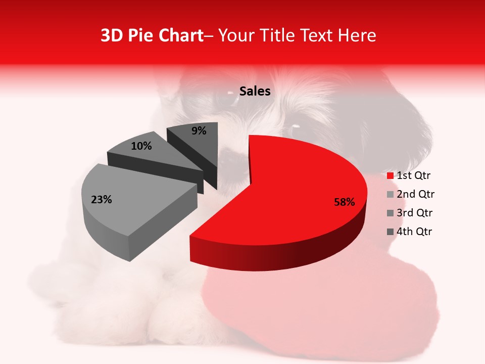 Pet White Dog PowerPoint Template