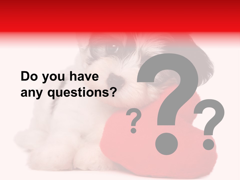 Pet White Dog PowerPoint Template