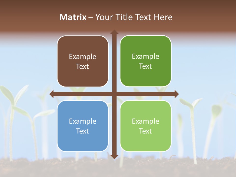 Sign Aid Care PowerPoint Template