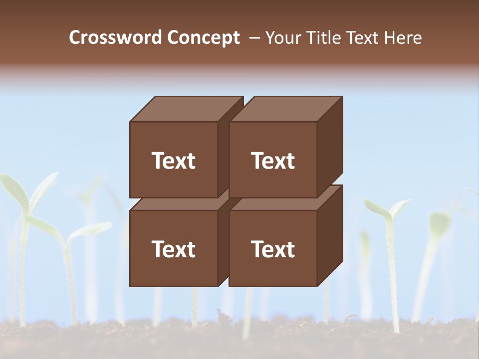 Sign Aid Care PowerPoint Template