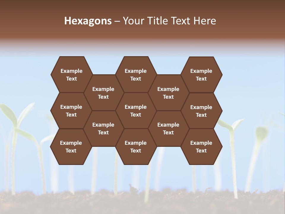 Sign Aid Care PowerPoint Template