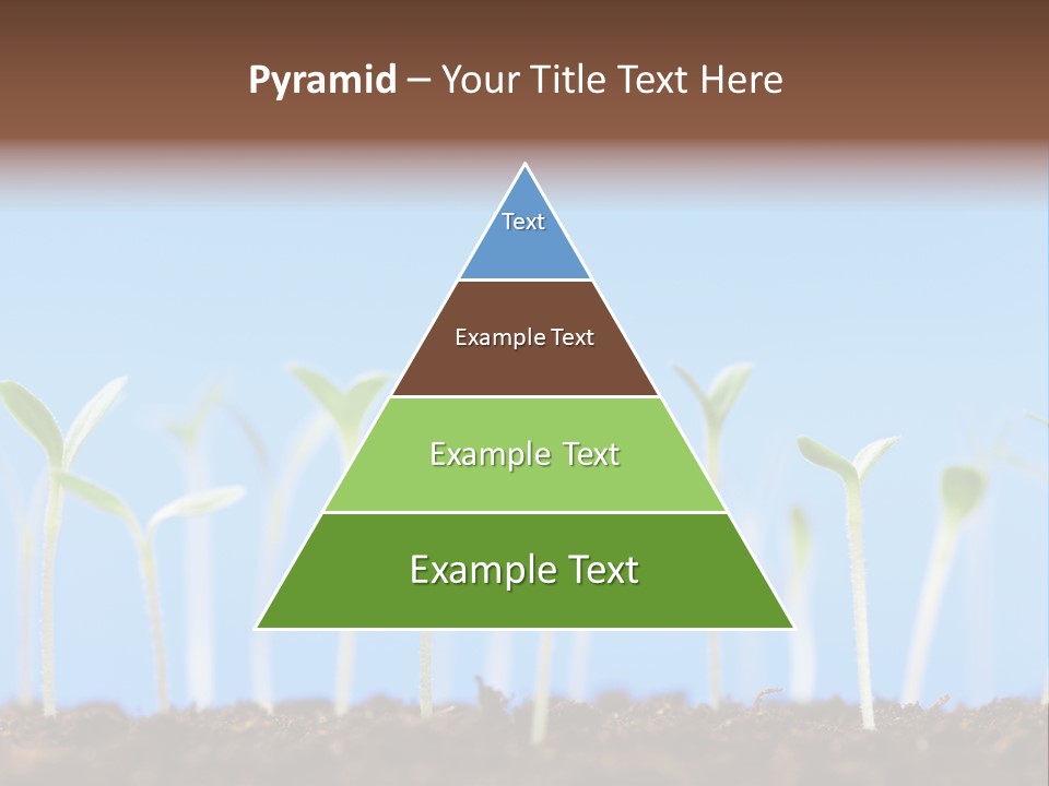 Sign Aid Care PowerPoint Template