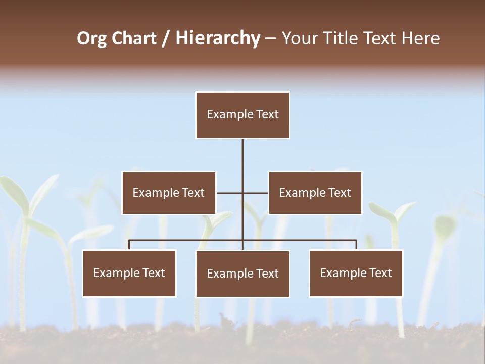 Sign Aid Care PowerPoint Template