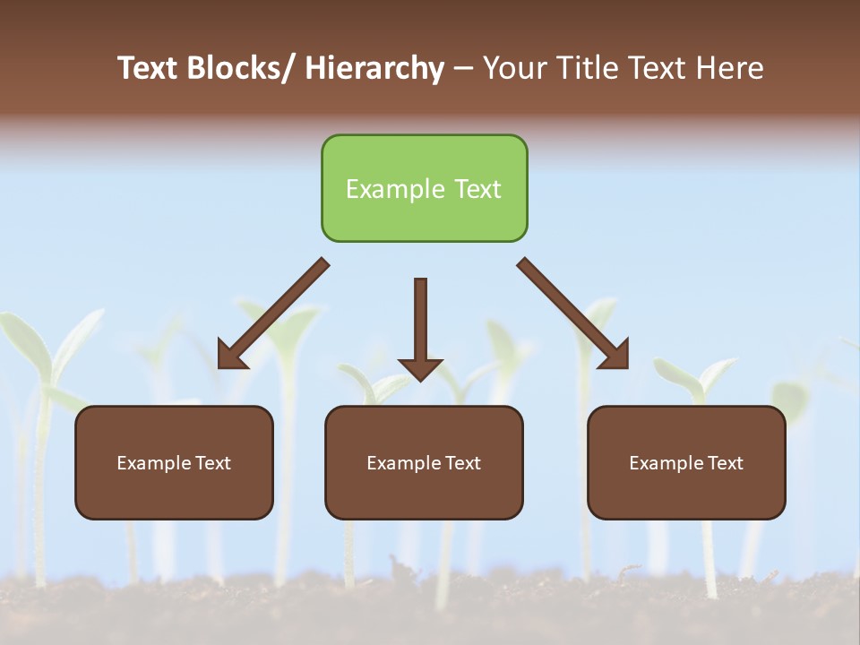 Sign Aid Care PowerPoint Template