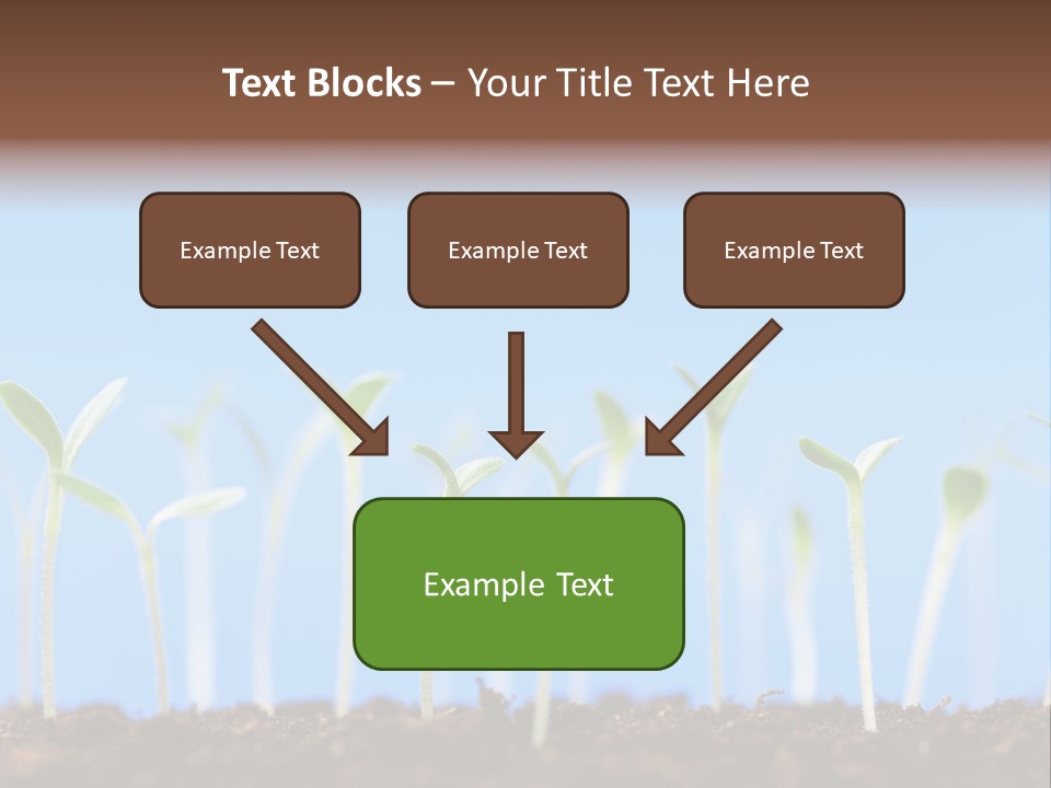 Sign Aid Care PowerPoint Template