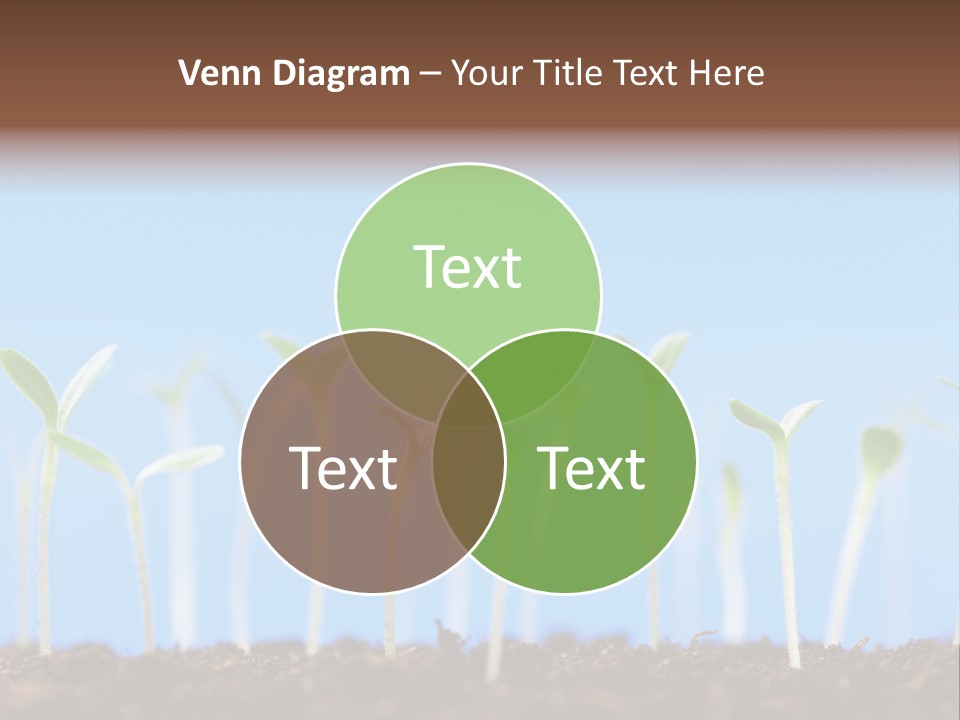 Sign Aid Care PowerPoint Template