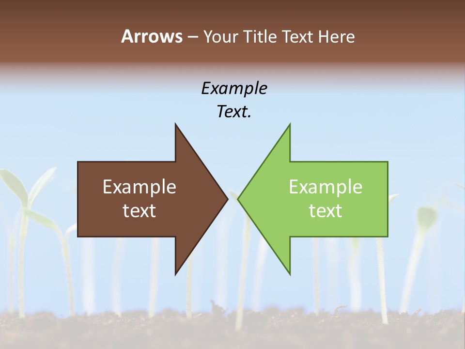 Sign Aid Care PowerPoint Template