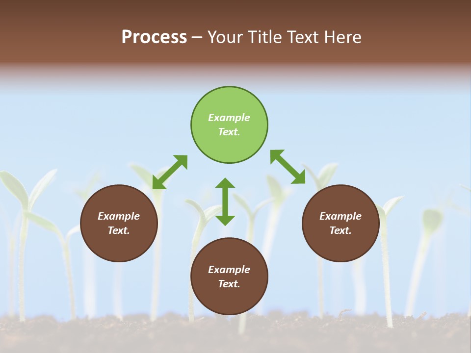 Sign Aid Care PowerPoint Template