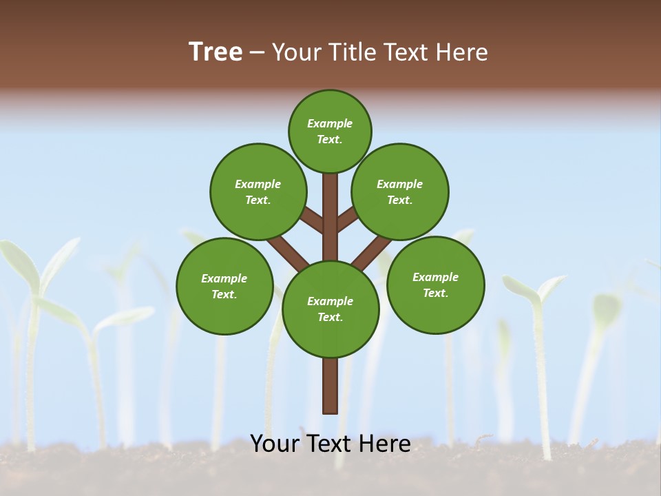 Sign Aid Care PowerPoint Template