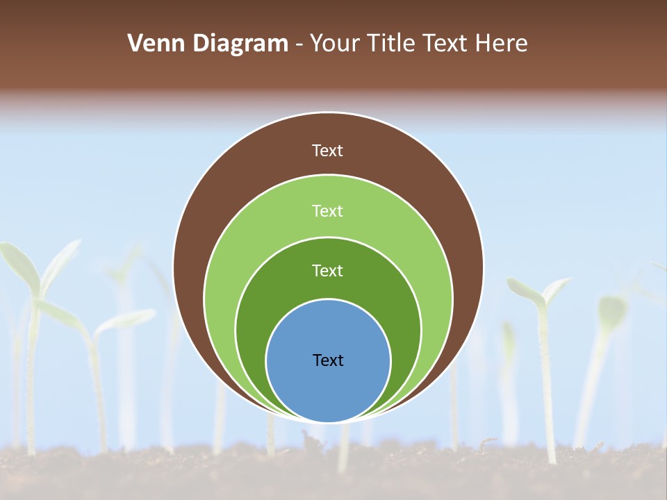 Sign Aid Care PowerPoint Template