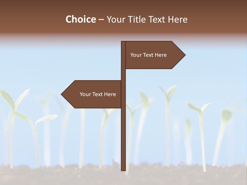 Sign Aid Care PowerPoint Template