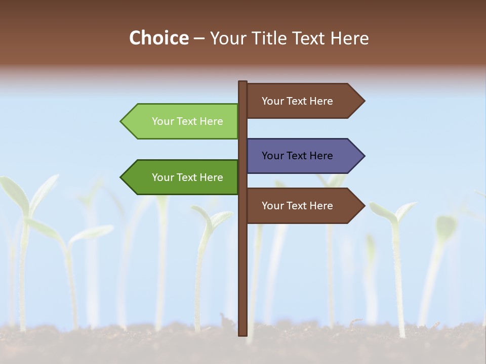Sign Aid Care PowerPoint Template
