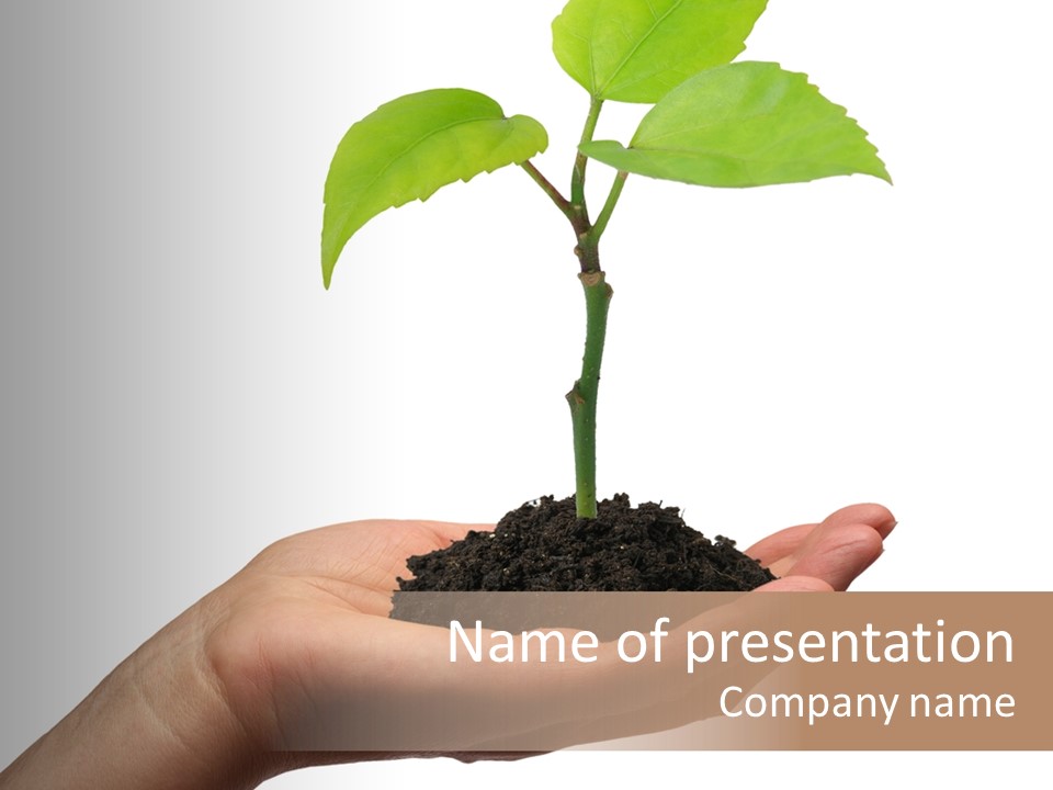 Thumb Develop Garden PowerPoint Template