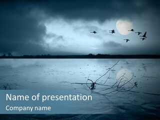 Cold Frozen Swans PowerPoint Template