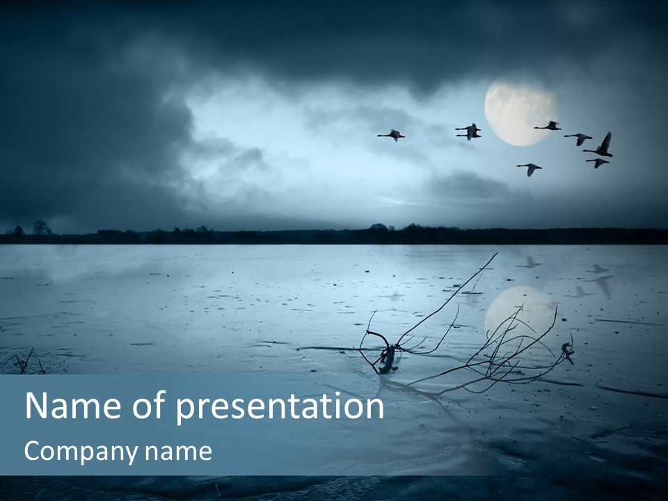 Cold Frozen Swans PowerPoint Template