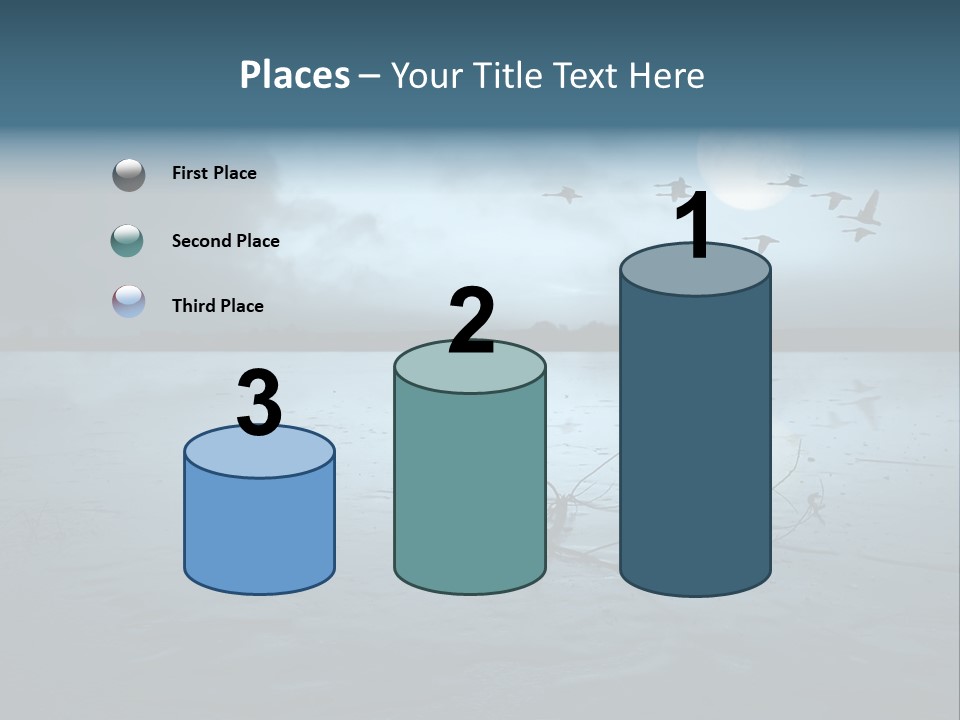Cold Frozen Swans PowerPoint Template