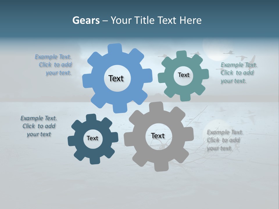 Cold Frozen Swans PowerPoint Template