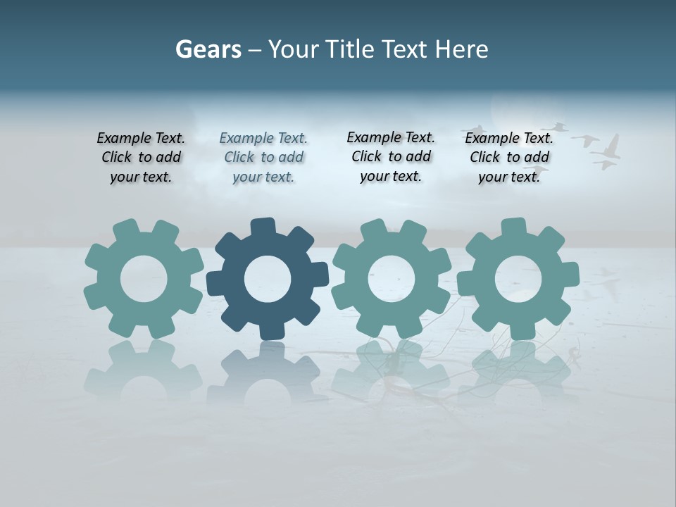 Cold Frozen Swans PowerPoint Template