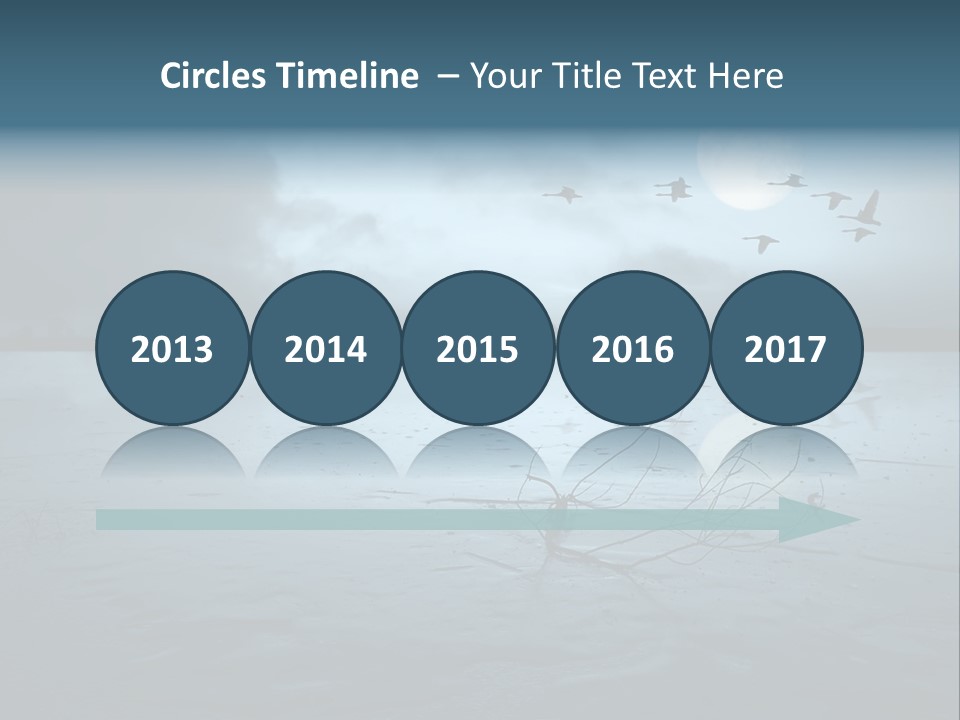 Cold Frozen Swans PowerPoint Template