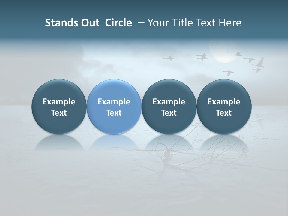 Cold Frozen Swans PowerPoint Template