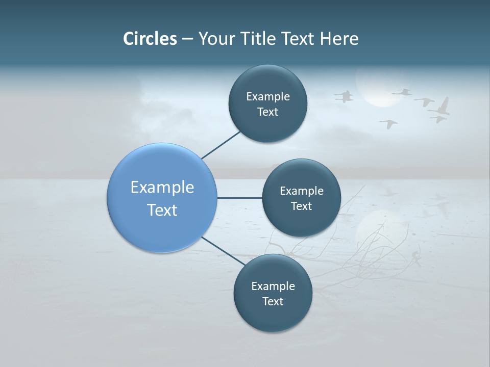 Cold Frozen Swans PowerPoint Template