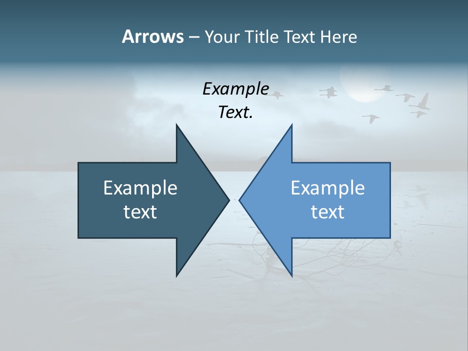 Cold Frozen Swans PowerPoint Template