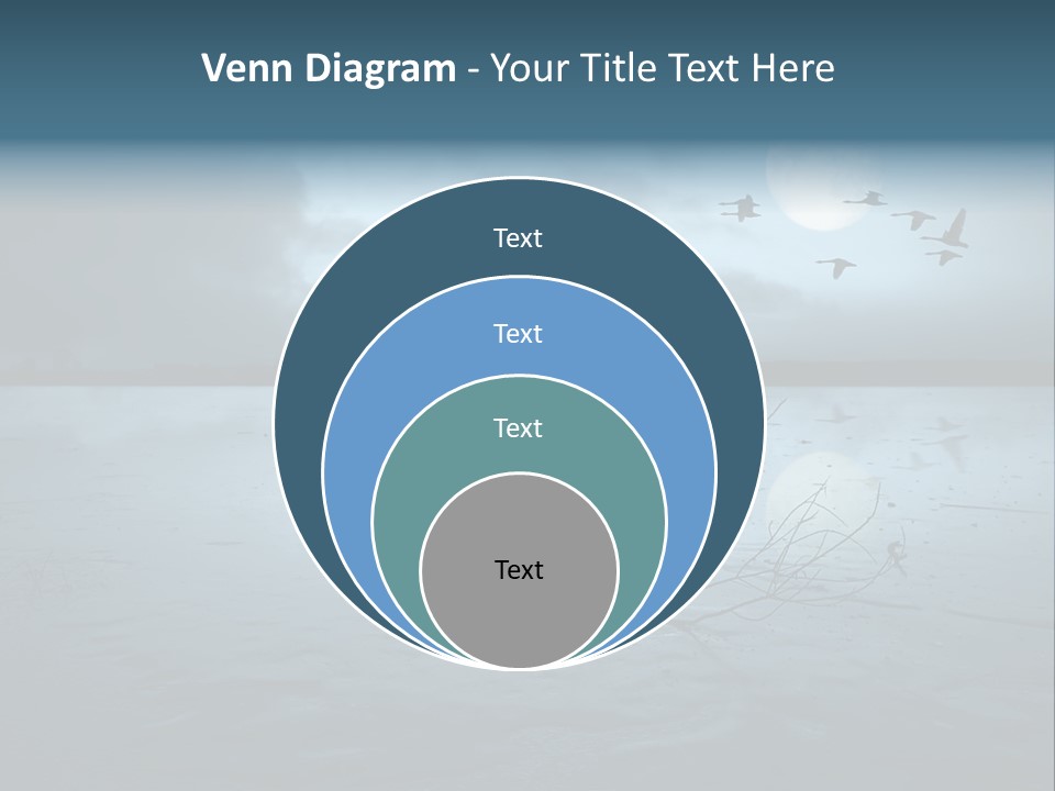 Cold Frozen Swans PowerPoint Template