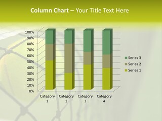 Outdoor Court Isolated PowerPoint Template