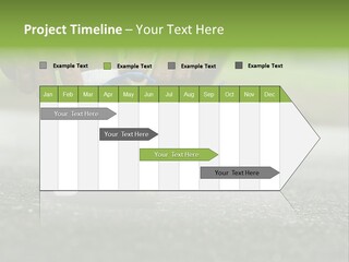 Marathon Human Finger Lace PowerPoint Template