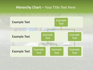 Marathon Human Finger Lace PowerPoint Template