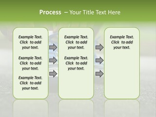 Marathon Human Finger Lace PowerPoint Template