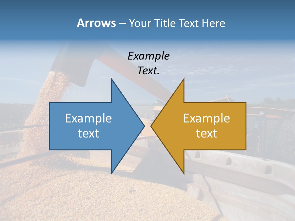 Growing Blue Harvest PowerPoint Template