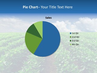 Land Summer Field PowerPoint Template