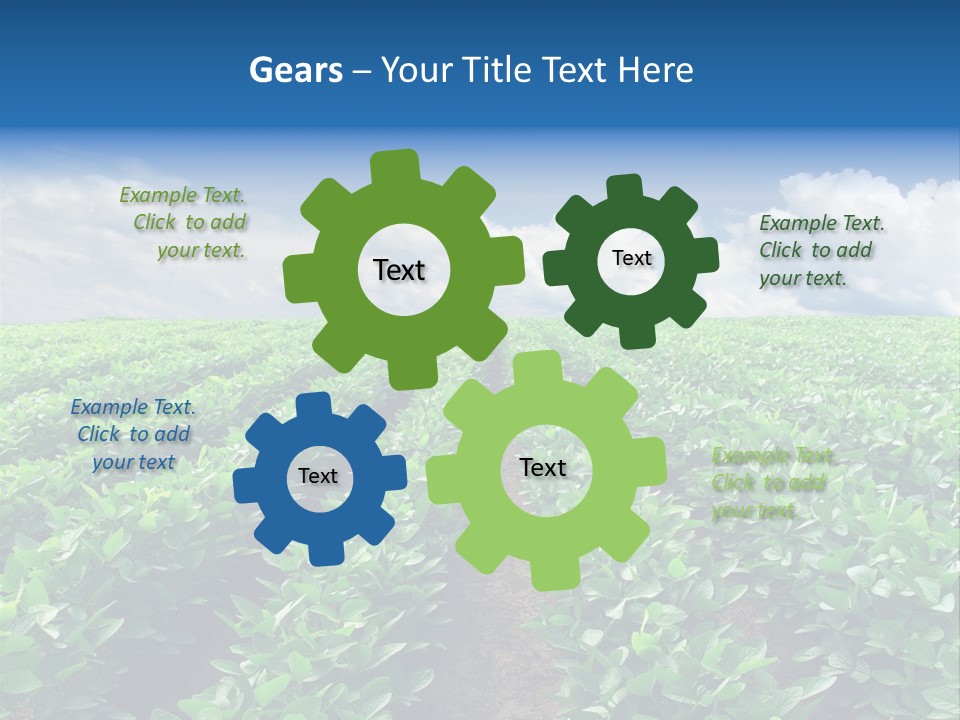 Land Summer Field PowerPoint Template