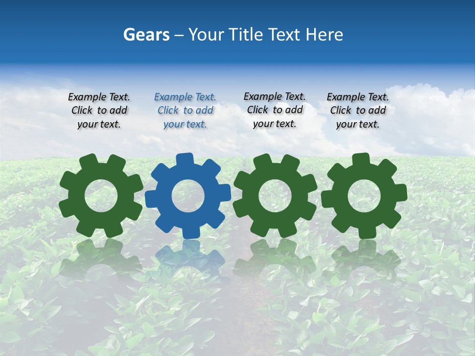 Land Summer Field PowerPoint Template