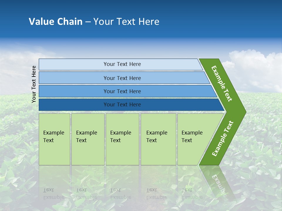 Land Summer Field PowerPoint Template
