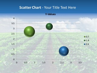 Land Summer Field PowerPoint Template