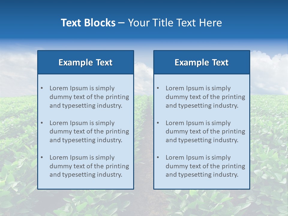 Land Summer Field PowerPoint Template